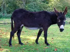 多米体育入口 -懩驢阤粩 